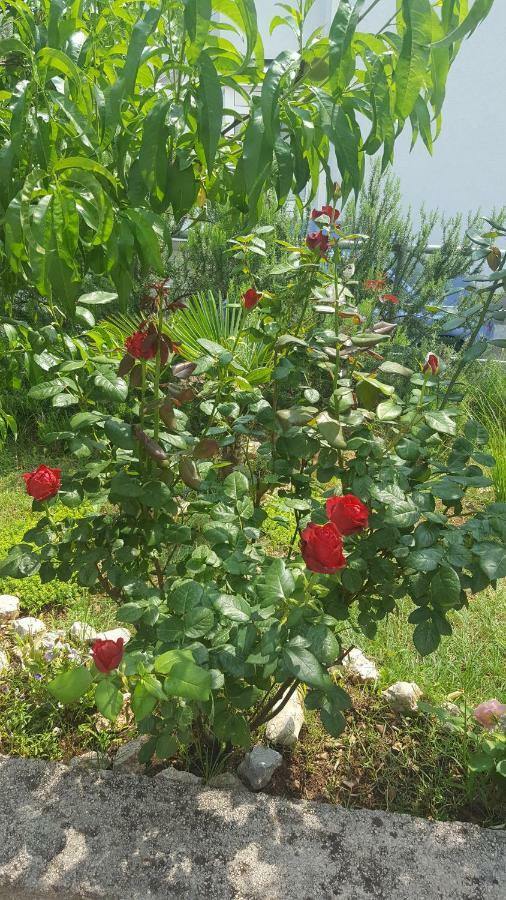 Ana Daire Kostrena Dış mekan fotoğraf