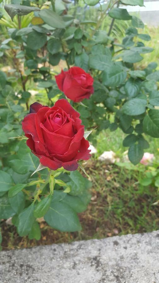 Ana Daire Kostrena Dış mekan fotoğraf